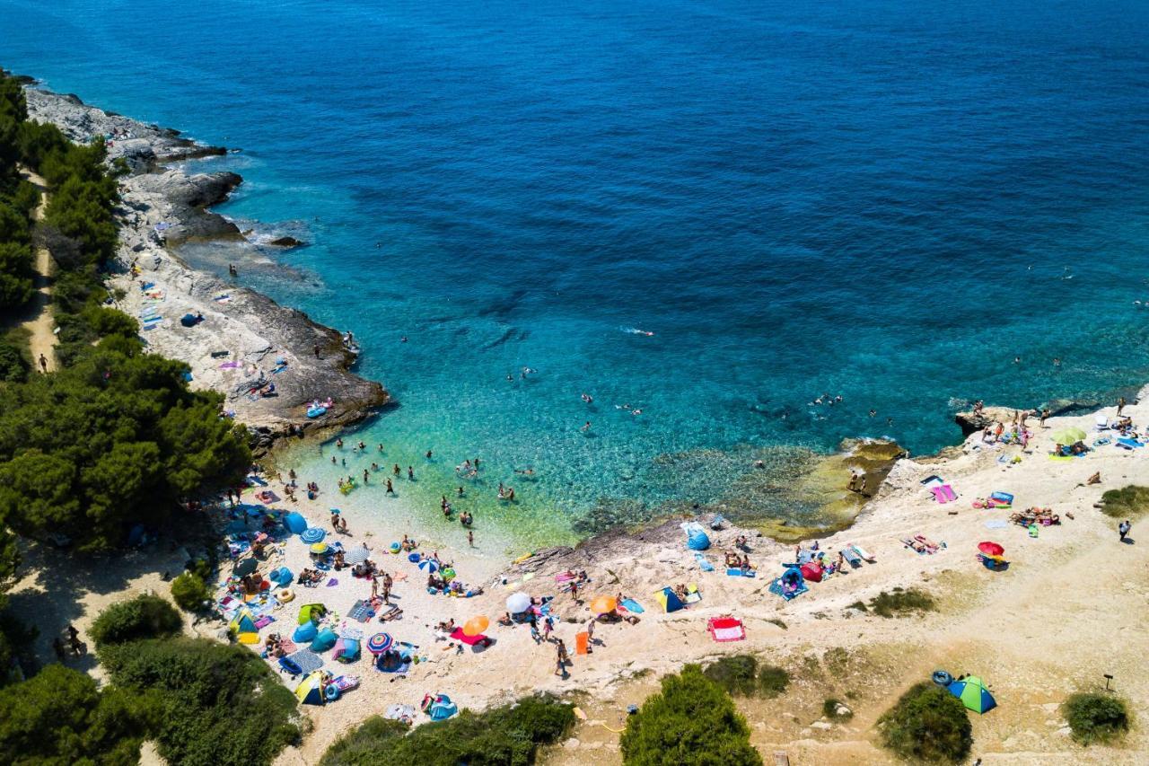 Lovely Istrian Apartment With A Private Swimming Pool And A Charming Garden Banjole Eksteriør bilde